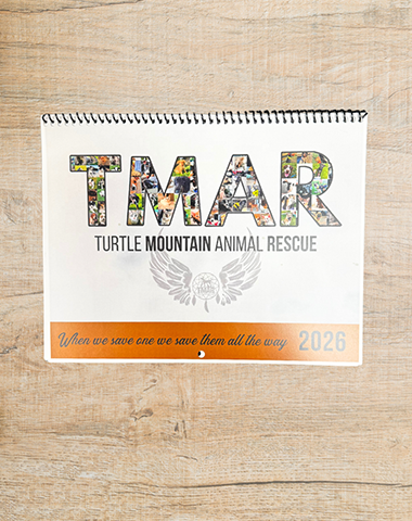 The Rescue Edition 2026 calendar