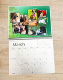 The Rescue Edition 2026 calendar